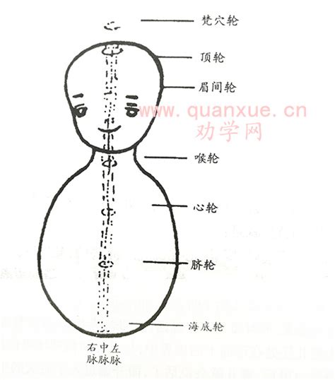 梵穴位置